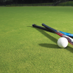 hockey-surfaces 20