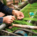 Close-up of hands weaving bright green threads on a loom in a textile workshop